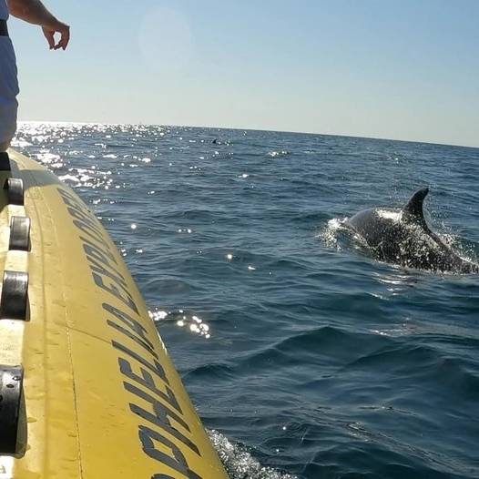 catamaran tour algarve