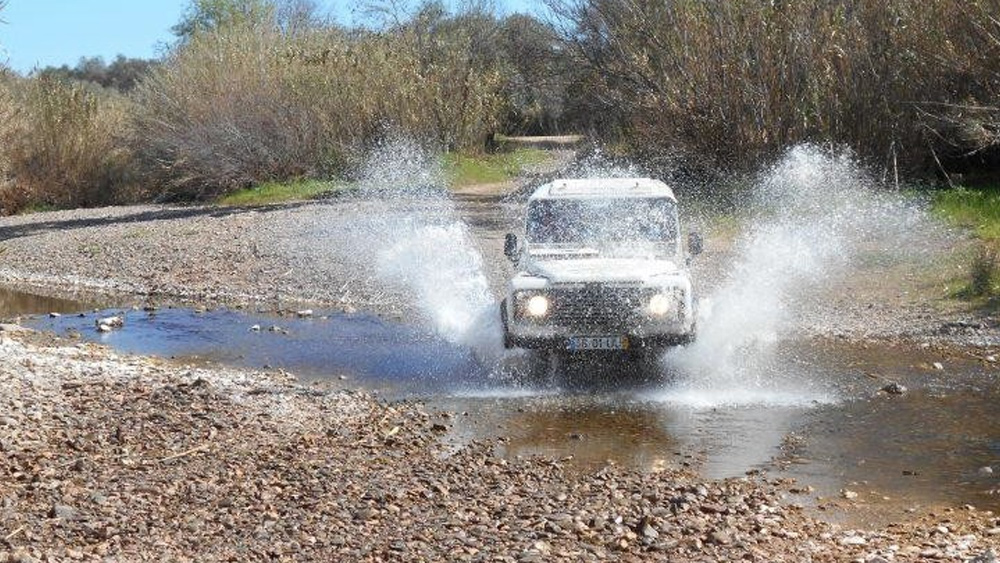 IMG_JEEP_GAL_H